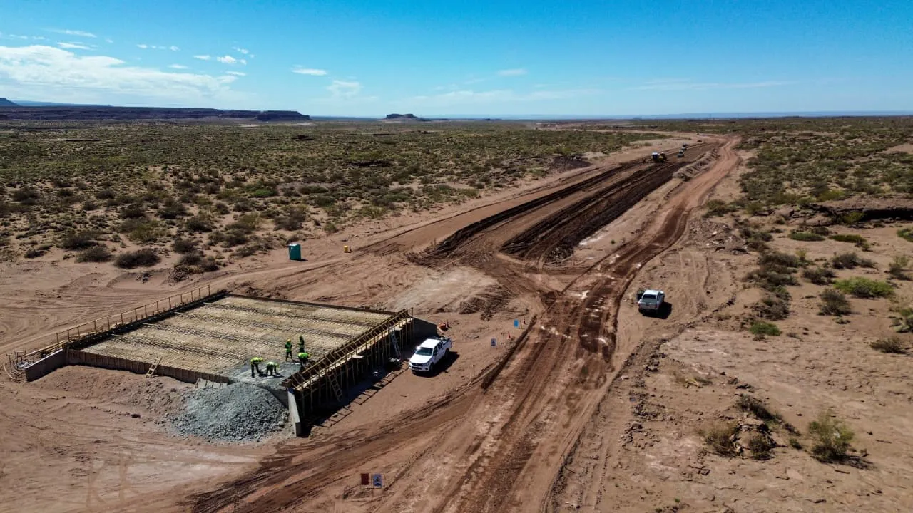 WhatsApp Image 2026-02-20 at 2.37.16 PM