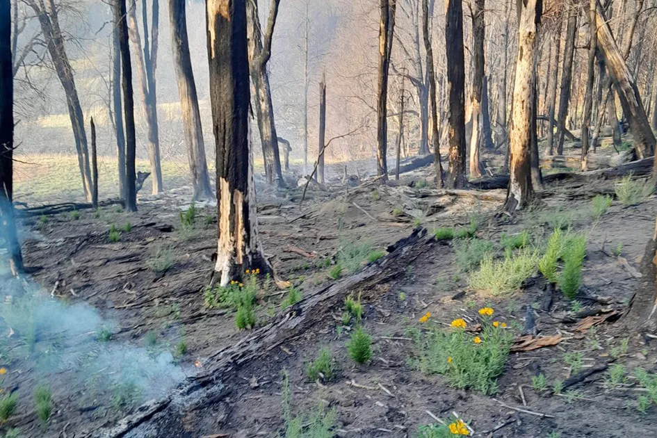 WhatsApp Image 2026-01-27 at 12.15.22 PM