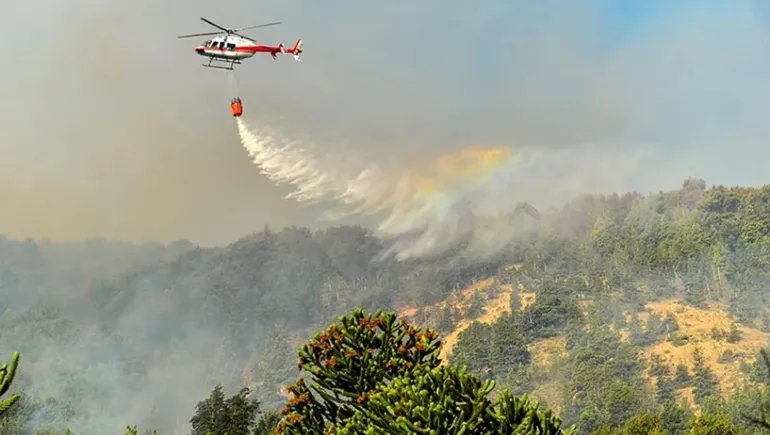 incendios-forestales-emergencia-ignea-neuquen