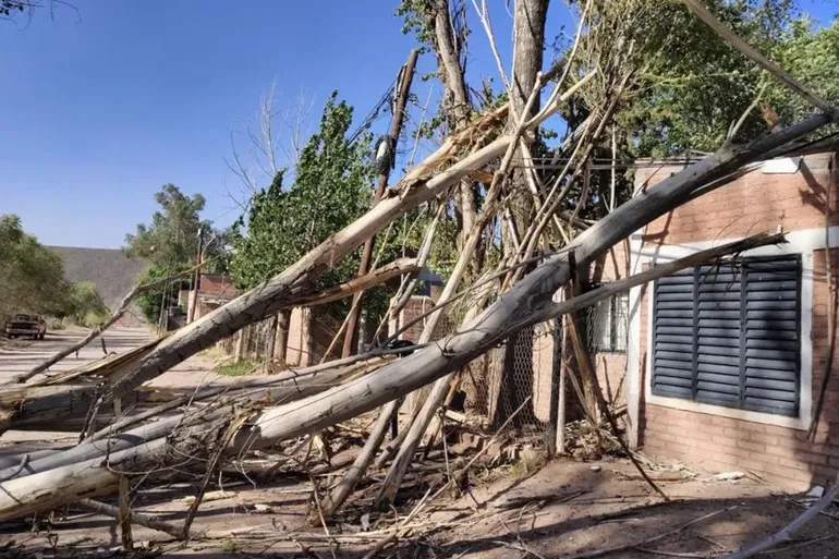 viento-caida-arboles
